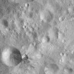 FC21A0012410_11301044047F4M.jpg