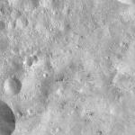 FC21A0012430_11301045315F8M.jpg