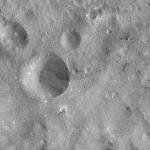 FC21A0012436_11301045901F3M.jpg