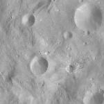 FC21A0012463_11301052831F8M.jpg