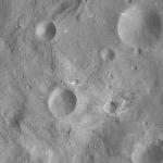 FC21A0012464_11301052838F7M.jpg