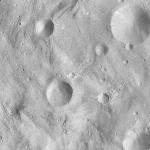 FC21A0012466_11301052851F5M.jpg