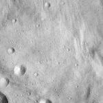 FC21A0012474_11301054049F4M.jpg