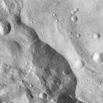 FC21A0012482_11301055256F5M.jpg