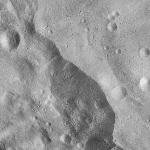 FC21A0012485_11301055316F2M.jpg