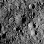 FC21A0012555_11301152716F5M.jpg