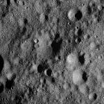FC21A0012556_11301152722F6M.jpg