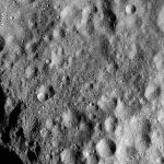 FC21A0012576_11301154851F7M.jpg