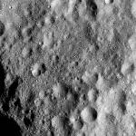FC21A0012582_11301154932F1M.jpg