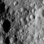 FC21A0012583_11301155443F1M.jpg