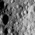 FC21A0012587_11301155509F5M.jpg