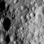 FC21A0012588_11301155515F6M.jpg