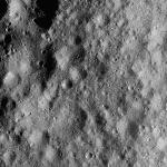 FC21A0012596_11301160119F3M.jpg