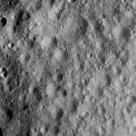 FC21A0012604_11301160714F6M.jpg