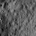 FC21A0012605_11301160720F7M.jpg