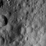 FC21A0012613_11301161326F7M.jpg