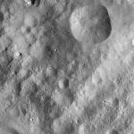 FC21A0012626_11301162508F4M.jpg