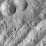 FC21A0012639_11301163643F1M.jpg