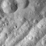 FC21A0012645_11301163722F7M.jpg