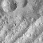 FC21A0012646_11301163728F8M.jpg
