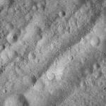 FC21A0012648_11301164248F7M.jpg