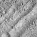 FC21A0012650_11301164300F5M.jpg