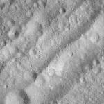 FC21A0012651_11301164307F4M.jpg