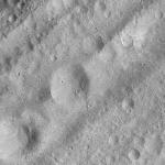 FC21A0012656_11301164849F2M.jpg