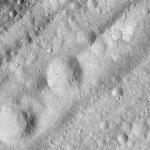 FC21A0012658_11301164903F4M.jpg