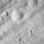 FC21A0012664_11301165448F7M.jpg
