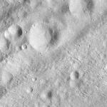 FC21A0012666_11301165503F5M.jpg