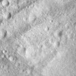FC21A0012677_11301170123F7M.jpg