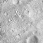 FC21A0012681_11301170655F6M.jpg