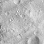 FC21A0012683_11301170708F4M.jpg