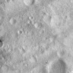 FC21A0012685_11301170722F2M.jpg