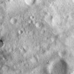 FC21A0012686_11301170730F1M.jpg