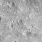 FC21A0012696_11301171855F7M.jpg