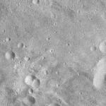FC21A0012720_11301173649F2M.jpg