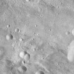 FC21A0012724_11301173718F6M.jpg