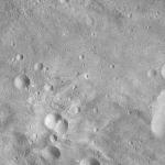 FC21A0012725_11301173724F7M.jpg