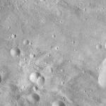 FC21A0012726_11301173732F8M.jpg