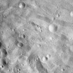 FC21A0012729_11301174859F6M.jpg