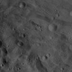 FC21A0012730_11301174907F5M.jpg
