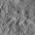 FC21A0012736_11301180052F2M.jpg