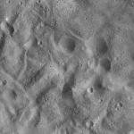 FC21A0012737_11301180100F3M.jpg