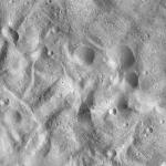 FC21A0012738_11301180107F4M.jpg