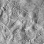 FC21A0012740_11301180122F6M.jpg