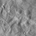 FC21A0012742_11301180138F8M.jpg