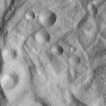 FC21A0012745_11301181308F6M.jpg
