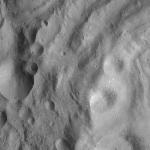 FC21A0012758_11301182539F8M.jpg